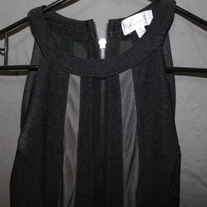 BLACK SLEEVELESS CREW NECK MESH DRESS
